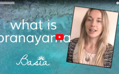 What is Pranayama